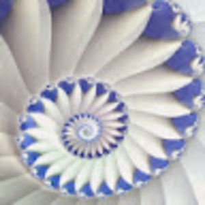 Meet your Posher, As